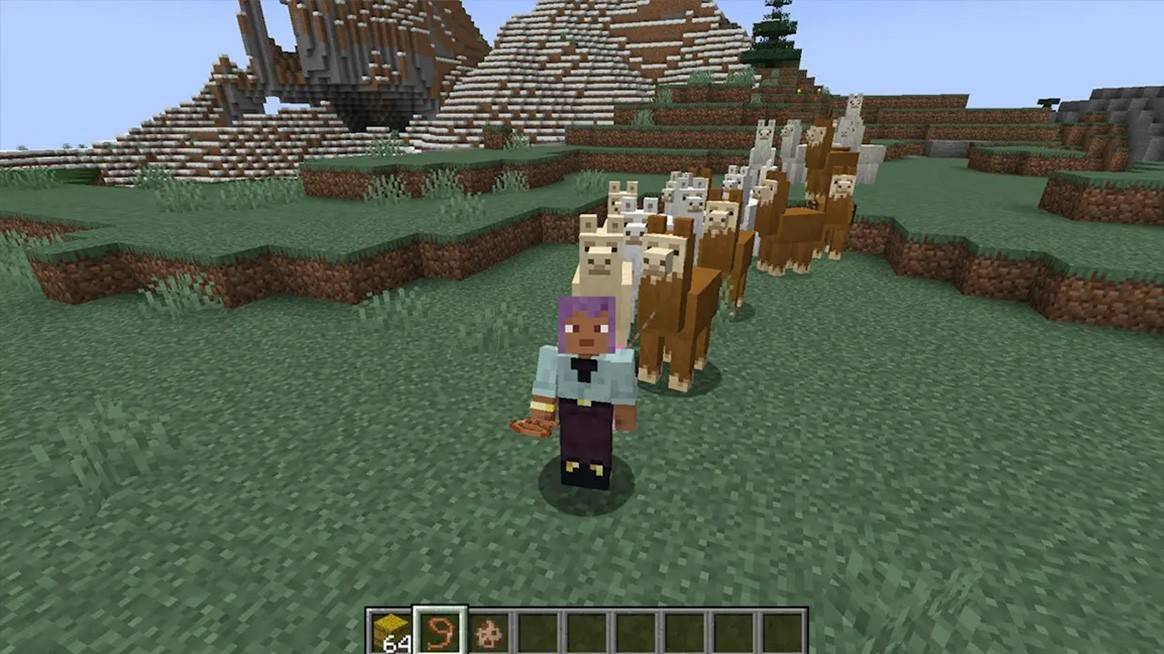 Full llama caravan
