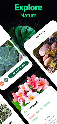 Schermata Plantum - Plant Identifier 3
