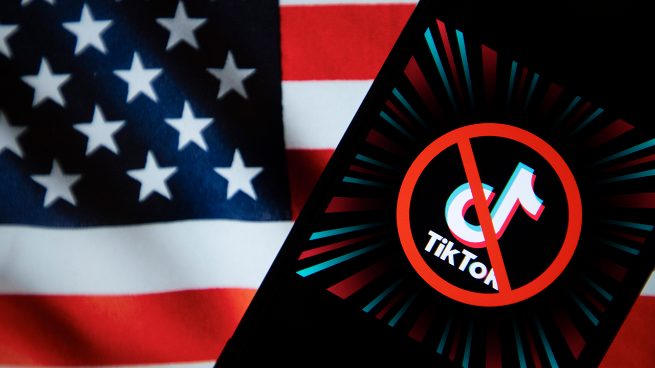 TikTok Ban Message