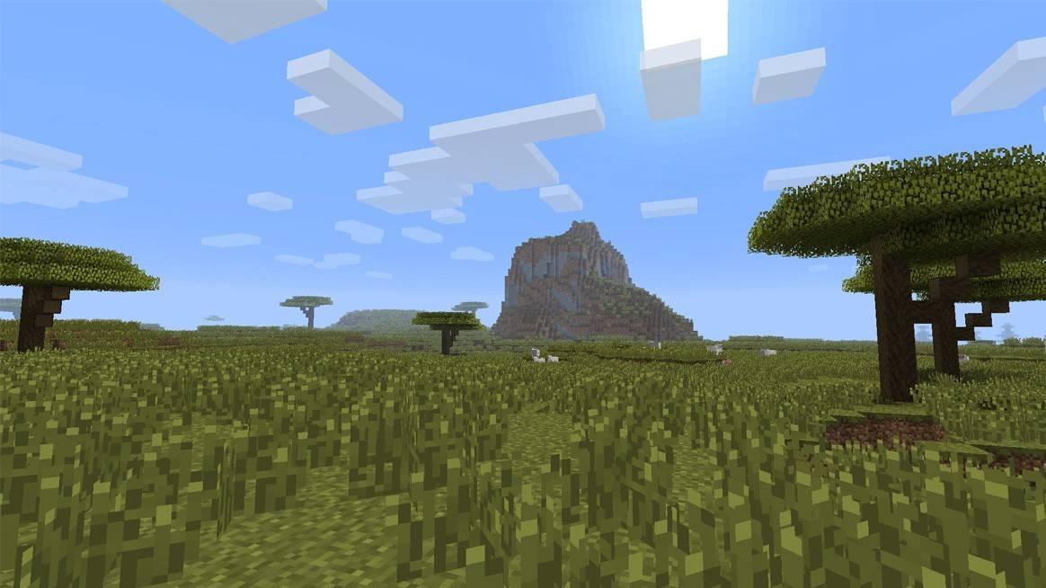 Savanna biome