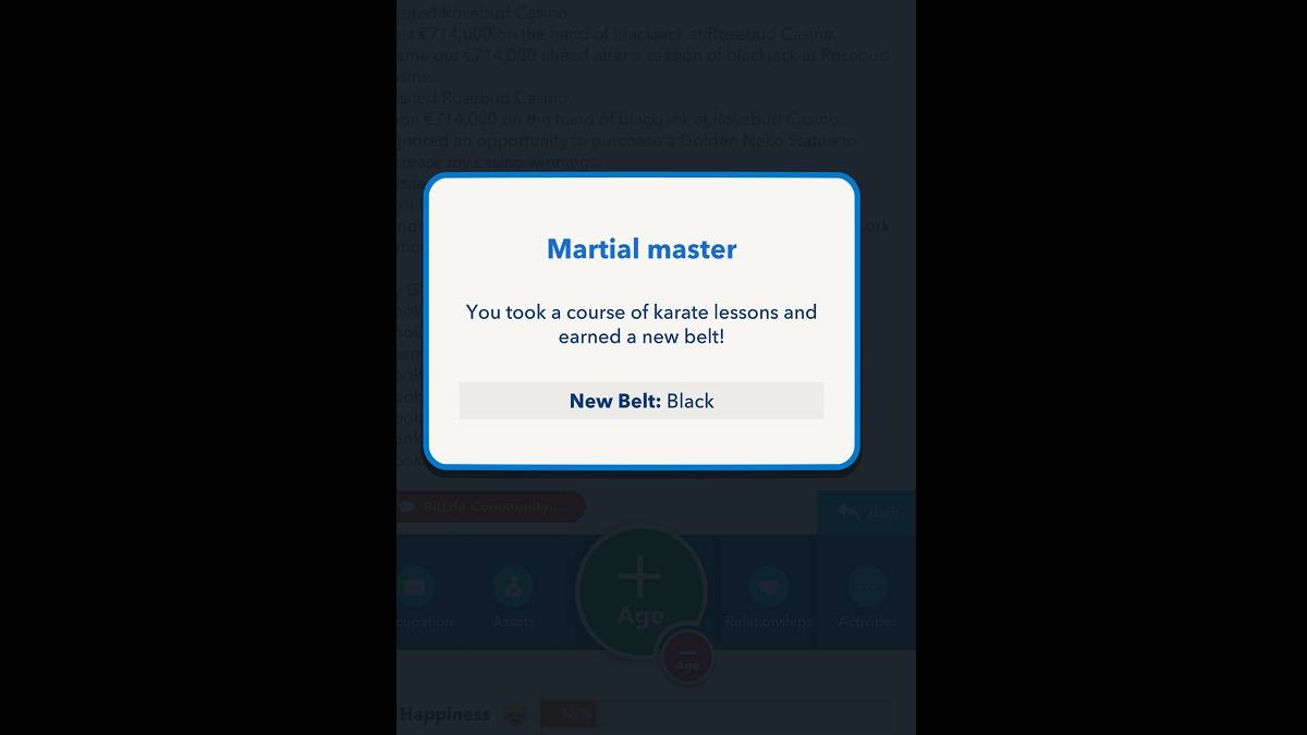 BitLife Schwarzer Gürtel erworben