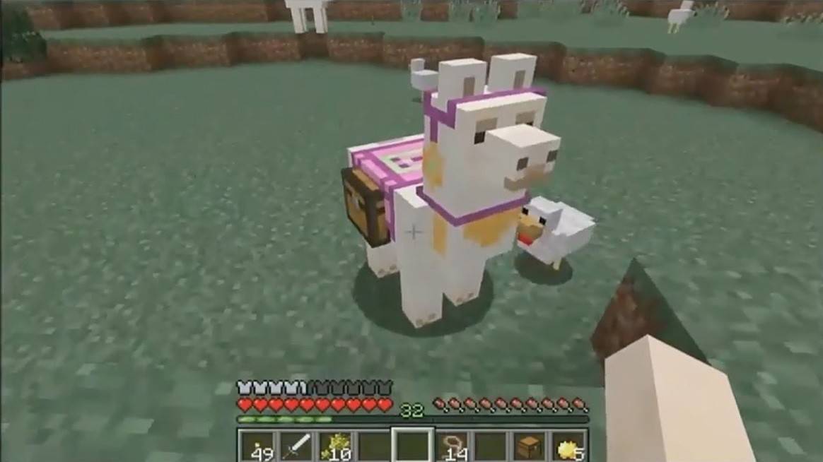 Llama storage setup