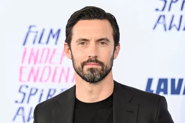 Milo Ventimiglia as David Mason