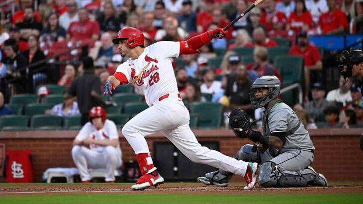 Team Spirit Meets Trainer Spirit